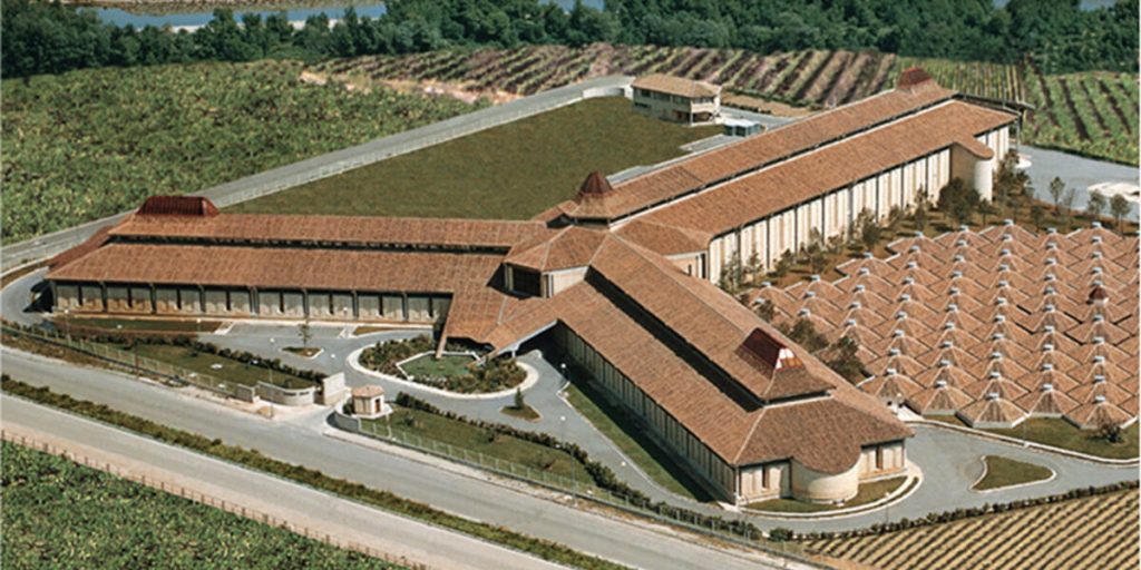 Enoturismo en Bodegas Olarra