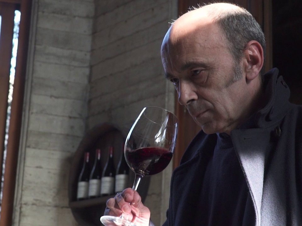 Javier Martínez Salinas, enólogo de Bodegas Olarra