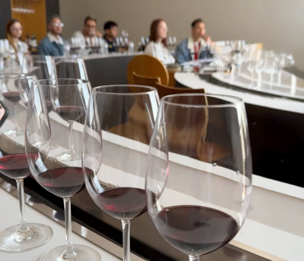 Cursos de Cata. Bodegas Olarra