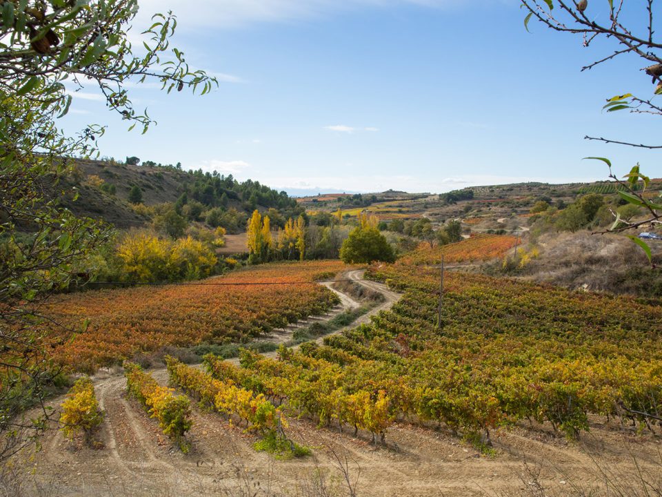 Los Otros de Ondarre surgen de pequeños viñedos entre Viana y la Sierra de Codés.