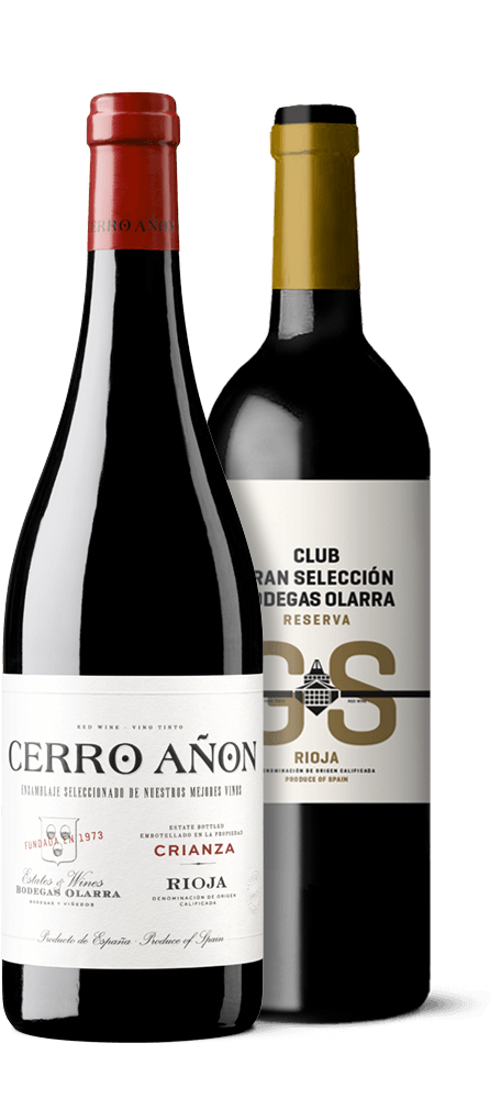 Oferta Primavera con los vinos Cerro Añón crianza y Club Selección reserva
